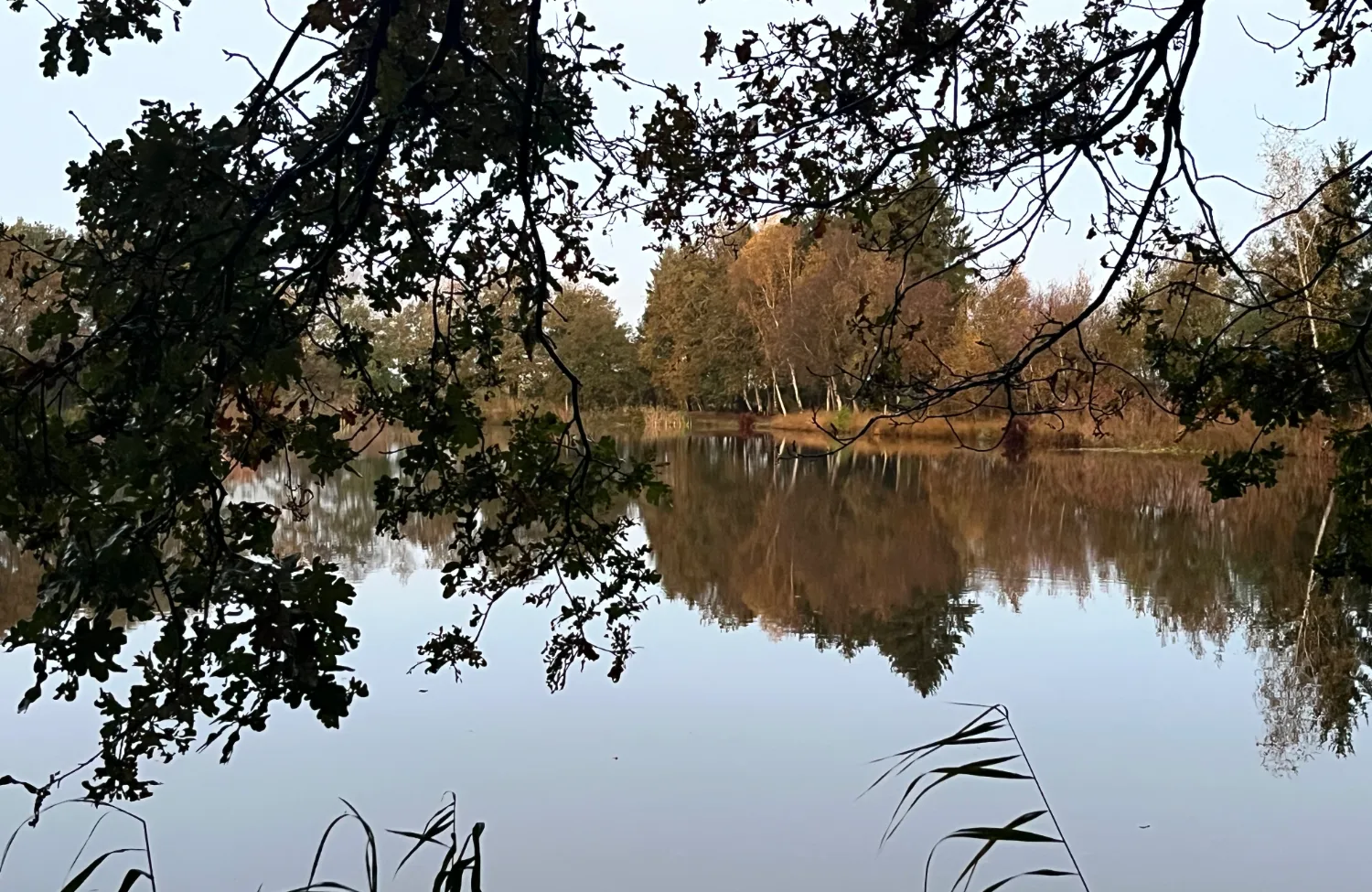 Macht en controle is een illusie. Een illusie van veiligheid