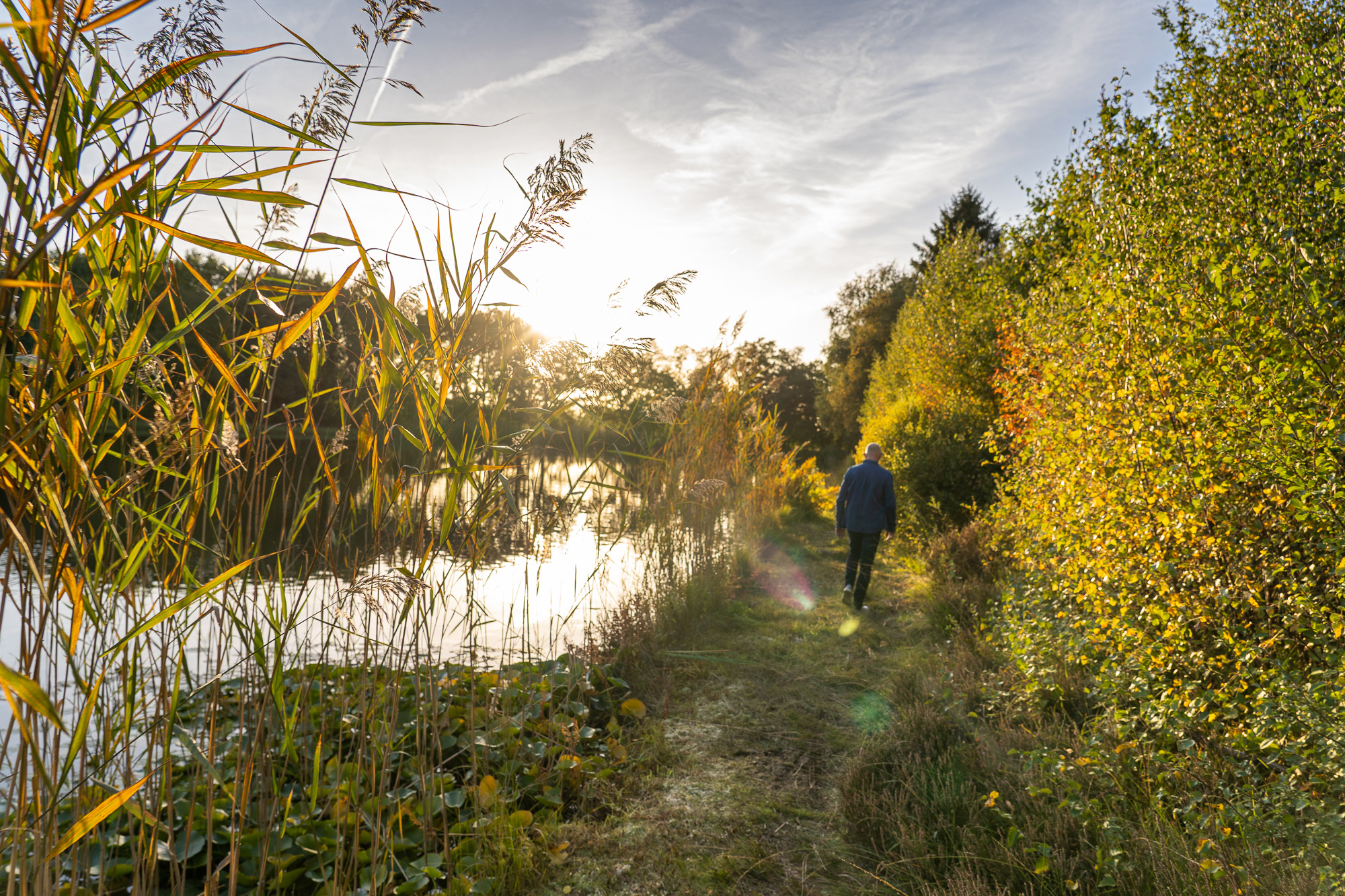 Ik moet! Leren luisteren (naar je lichaam) is de sleutel tot jouw omgaan met "IK MOET" en tot innerlijke rust en balans