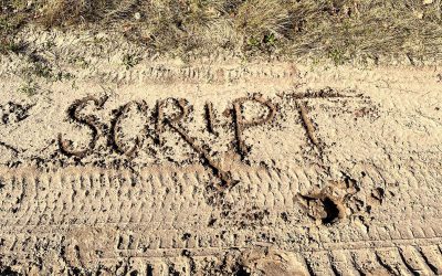 In script gaan. Hoe jouw levensscript je gedrag stuurt