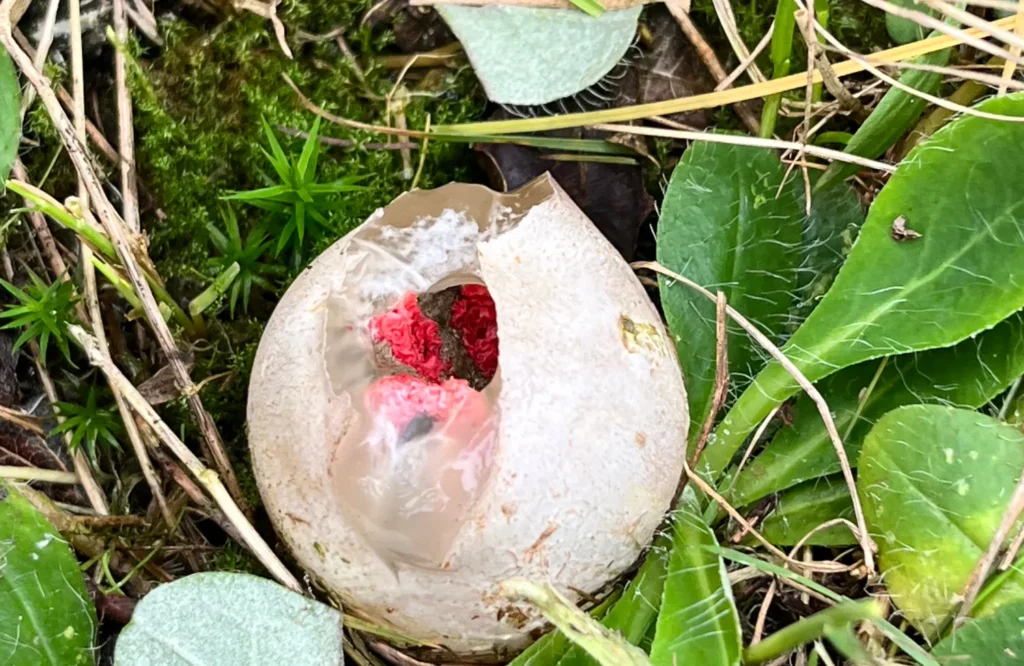 Door energie en verbinding te herstellen, vind je rust, helderheid en je ware plek. Laat je innerlijke stroom vrij, ervaar transformatie en stap vol vertrouwen terug in jezelf,