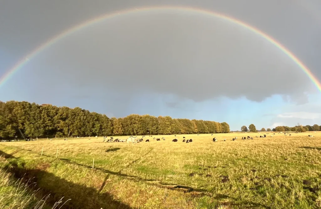 Onder de beschermende koepel van het familie-geweten kan jouw persoonlijke vrijheid onder druk staan. Lees het blog voor inzicht en handvatten
