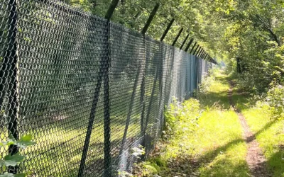 Grenzen stellen zonder angst voor afwijzing – De kunst van nee zeggen