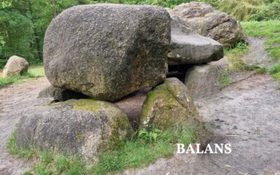 De verborgen rekensom: waarom balans in geven en nemen je  gezond houdt