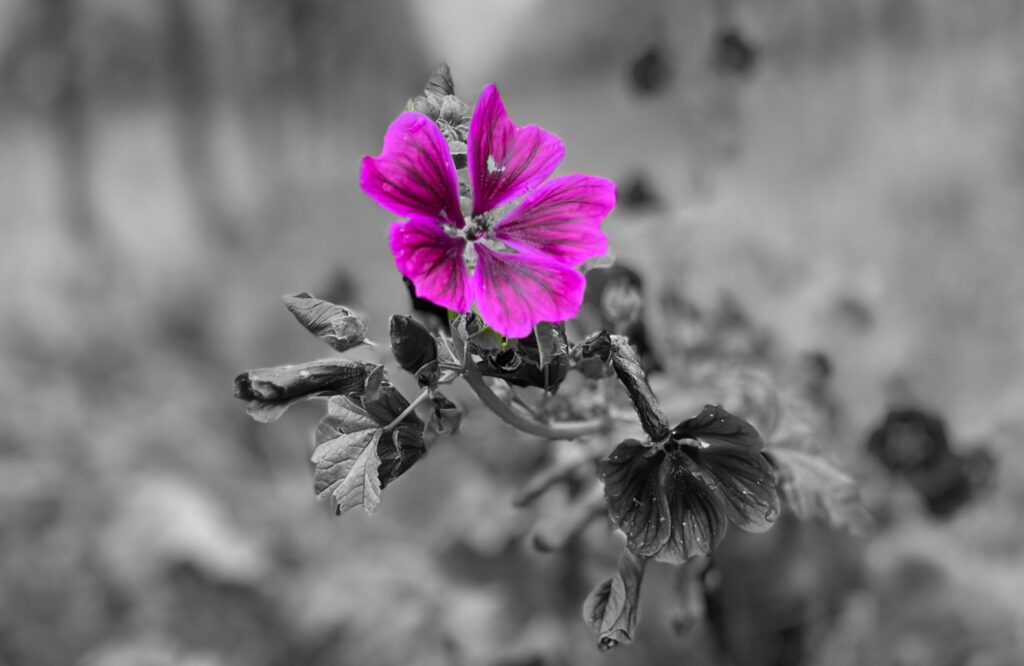 Leven zonder emotionele verdoving