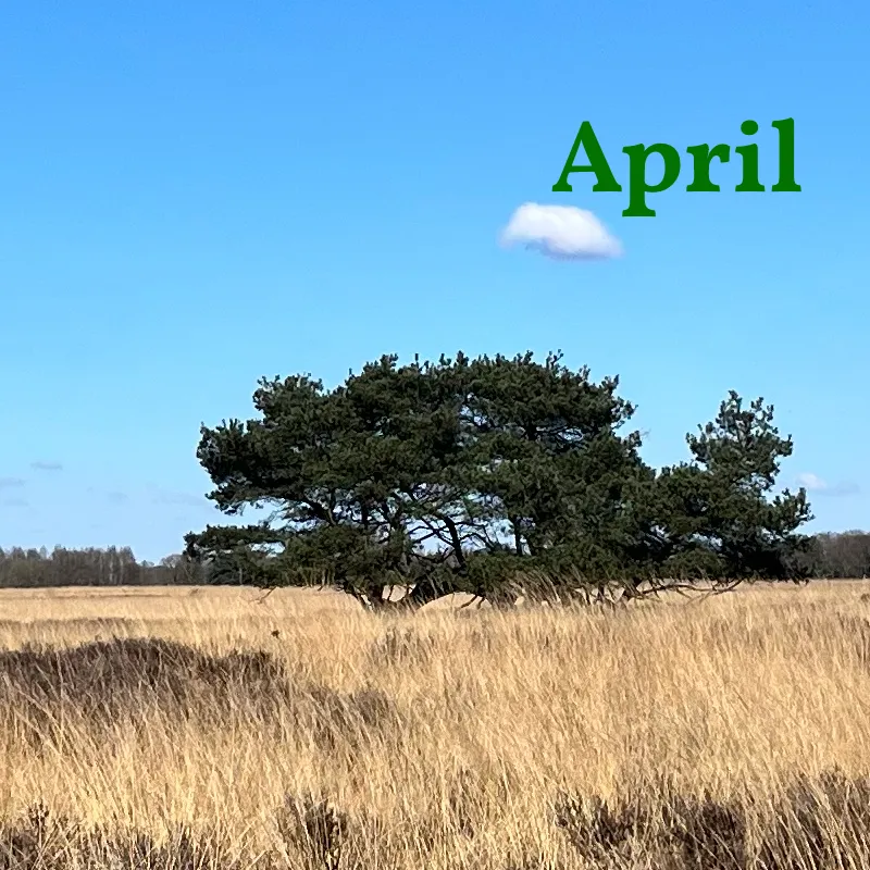 De maandelijkse inspiratie mail achteraf te downloaden in pdf