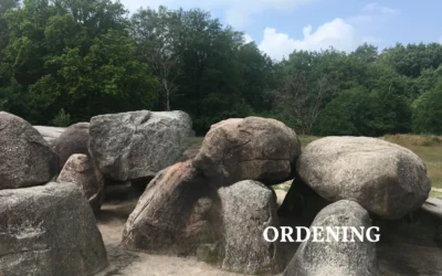 De kracht van ordening: Jouw plek binnen het systeem