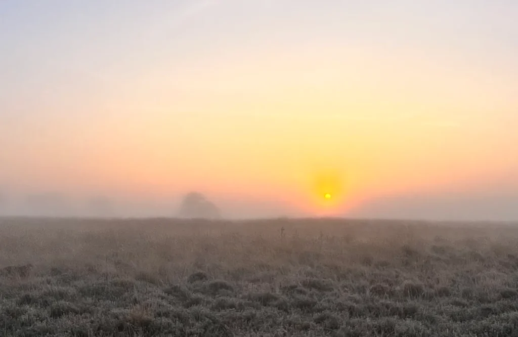 Vanuit deze hernieuwde verbinding kun je andere keuzes maken. Je wordt trouw aan jezelf. Je leert je grenzen bewaken, je verlangens serieus nemen, en je leven inrichten op een manier die bij jóu past.
Waarom voel ik mij leeg.
