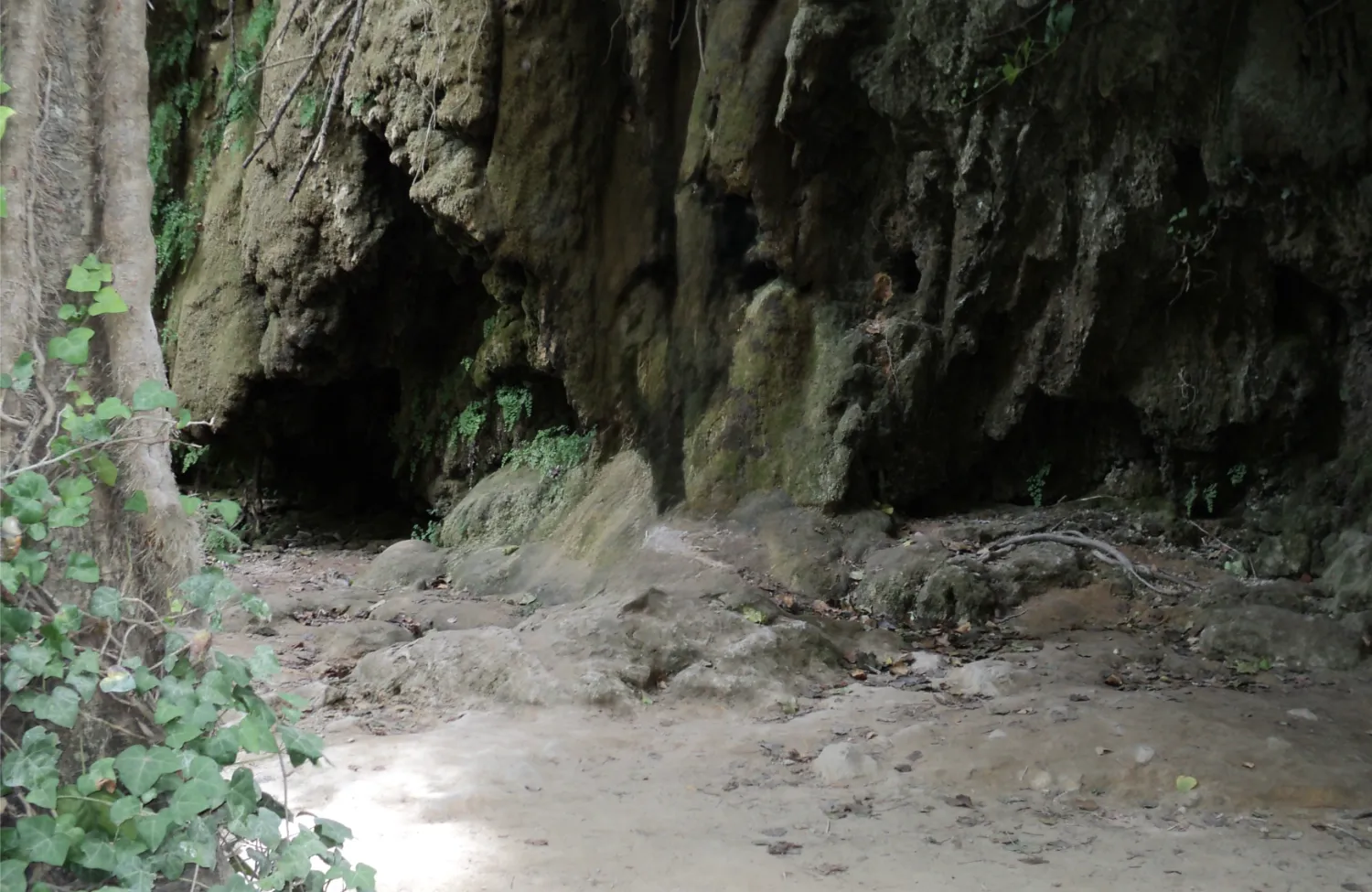 Trauma's zijn overweldigend en moeten daarom diep weggestopt worden en blijven zoals op deze afbeelding een donkere grot wat niet gezien kan worden uit het licht houdt. Zelfresonantie
