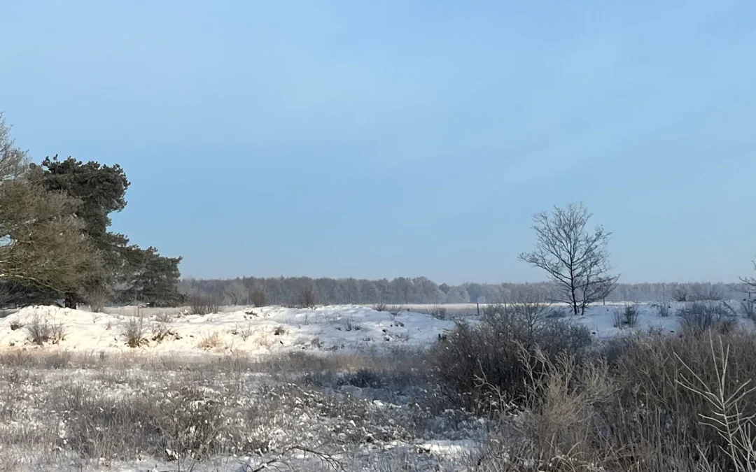 Waarom voel je je leeg, terwijl je van buiten gezien alles hebt?