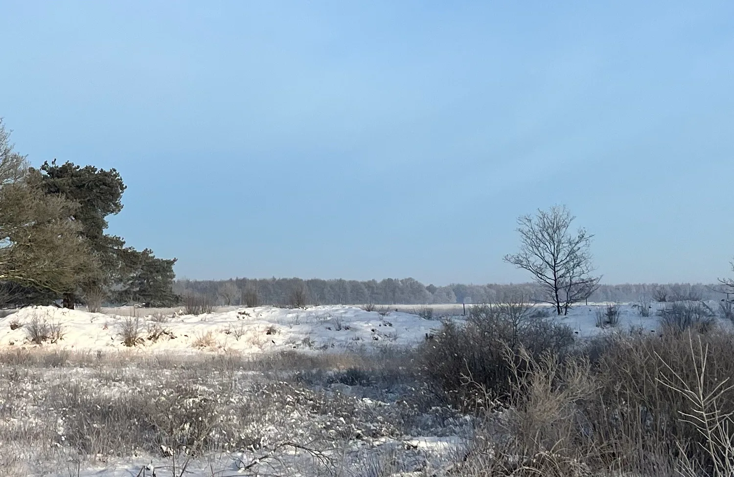 Voel je innerlijke leegte ondanks succes? Ontdek waarom dit een signaal is in deze hectische tijd. Leer 4 stappen om weer verbinding met jezelf te maken.