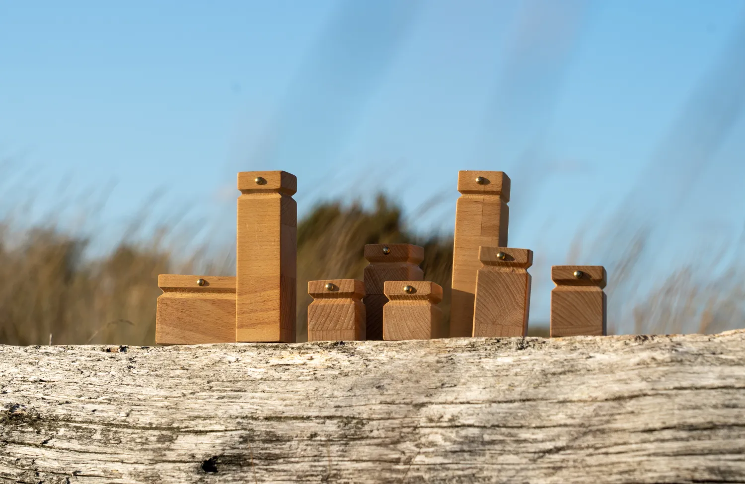 een familieopstelling geeft helderheid; ook in persoonlijke een op een opstellingen