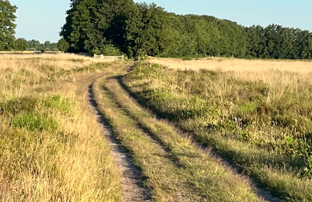Relaties zijn geen eindstation. Ze zijn een weg. Een voortdurend leerproces.