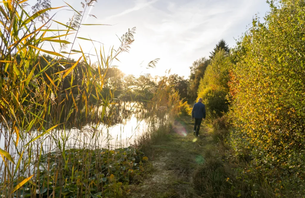 In dit blog zoek ik de betekenis van mijn ontmoetingen met slangen