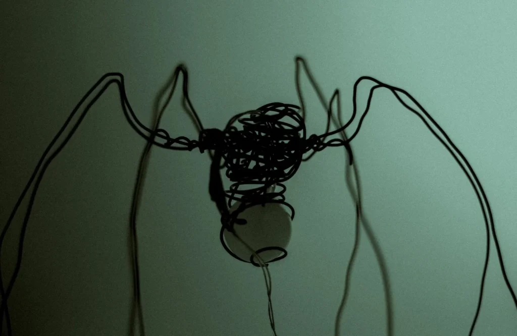 redder slachtoffer dynamiek