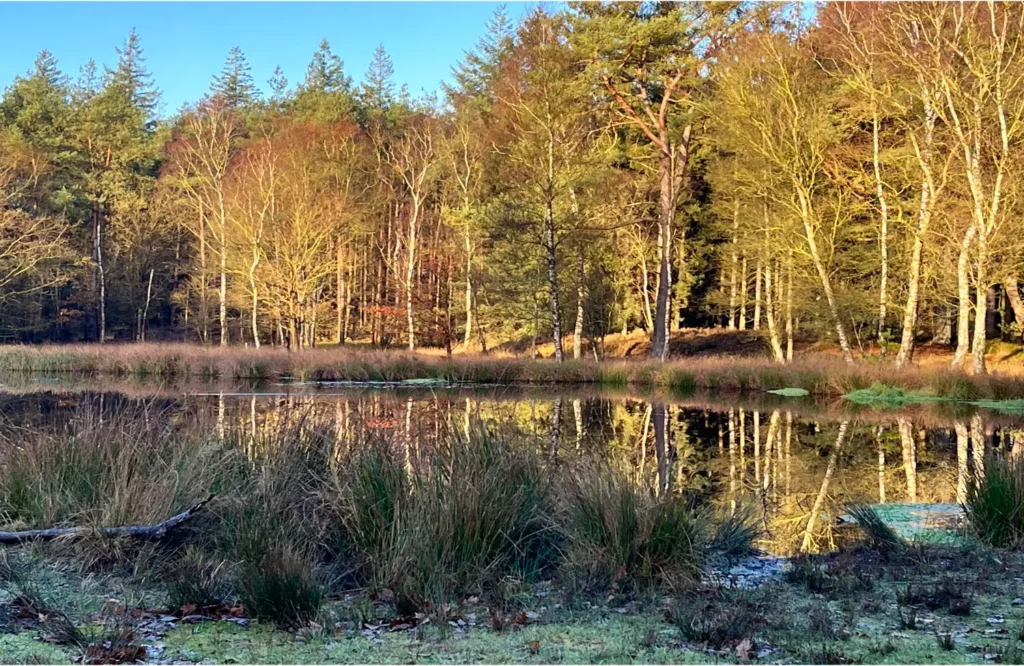 Alleen in de ontmoeting kun je de ervaring ervaren