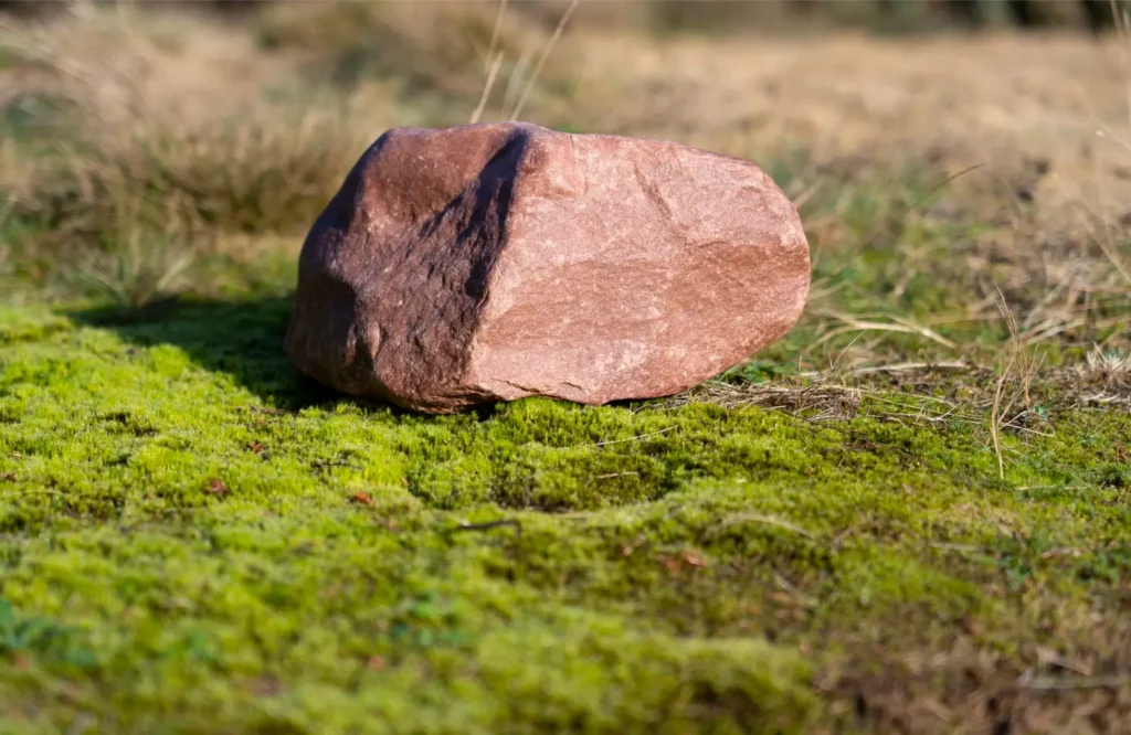 wanneer-helpen-controle-wordt. Stenen op je pad