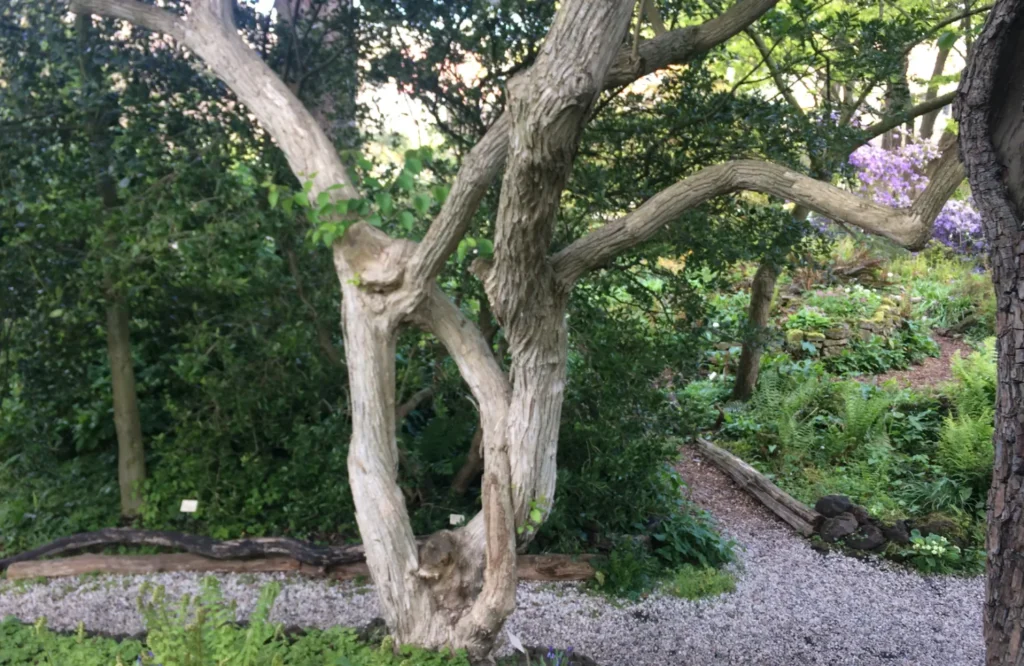 Verbonden, maar geen vrije verbinding