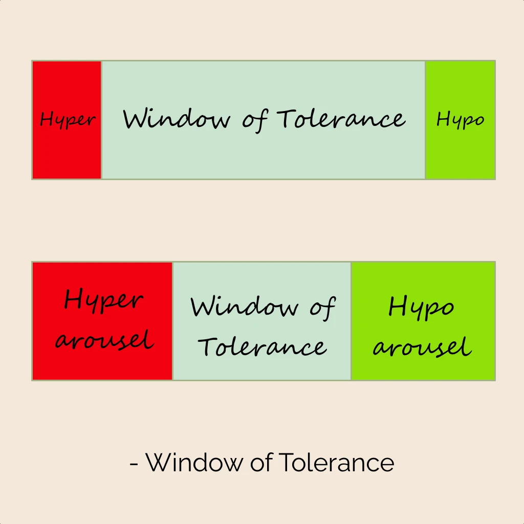 Een doeltreffende vergelijking is om je WoT te zien een elastische band. Binnen die band neem je jouw emoties waar. Soms heel intens. Toch lukt het je om ‘bij de les’ te blijven.
