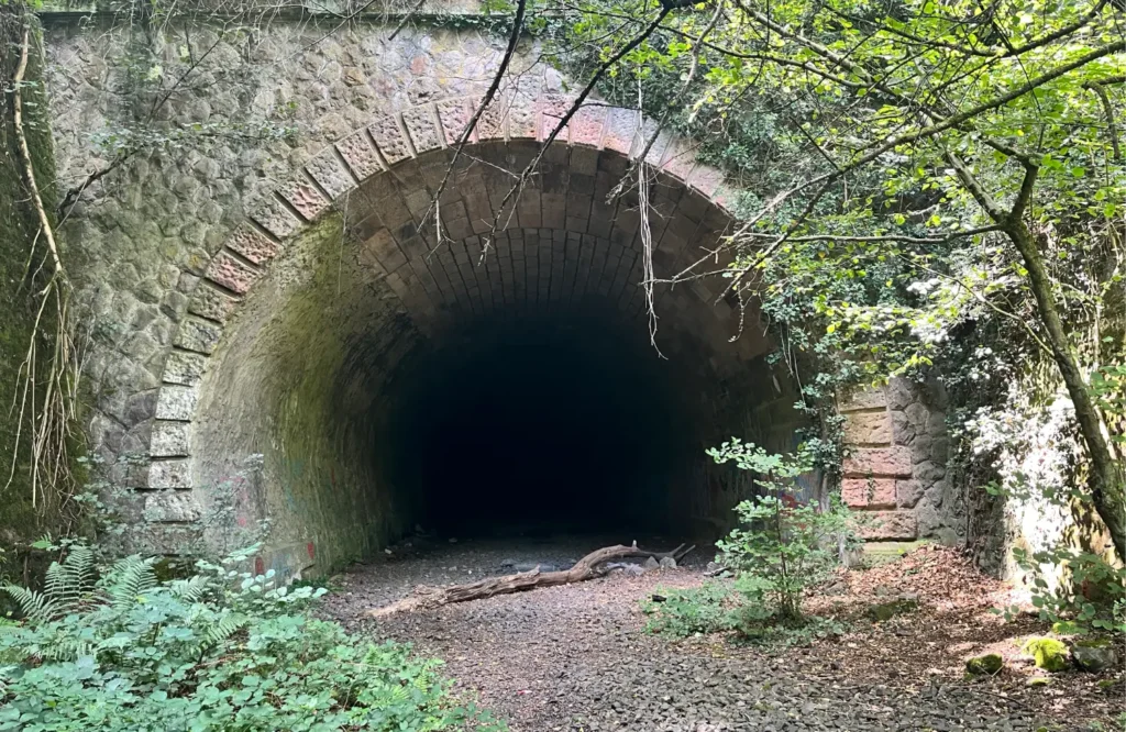 Je grip loslaten is de tunnel binnengaan zonder het eindpunt te kunnen overzien. De eerste stap is de grootste.