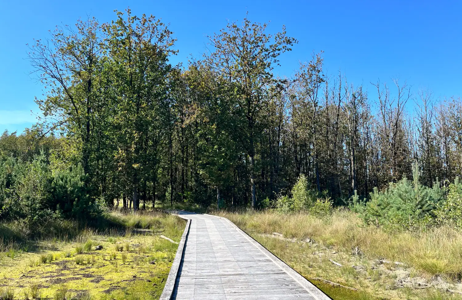 Een kort telefonisch consult helpt je koers te houden. In dit gesprek krijg je inzicht, helderheid en een steuntje in de rug. Om zélf de vinger aan de pols te houden en verder te kunnen in jouw proces.
