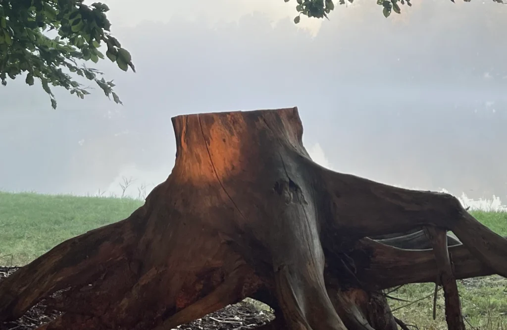 Ontdek wat existentiële angst is, waar ze vandaan komt en hoe je stap voor stap terugkeert naar veiligheid, aanwezigheid en een diep ja tegen het leven.