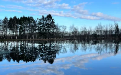 Wat de binnenwereld je laat zien – Hoe binnen en buiten elkaar spiegelen