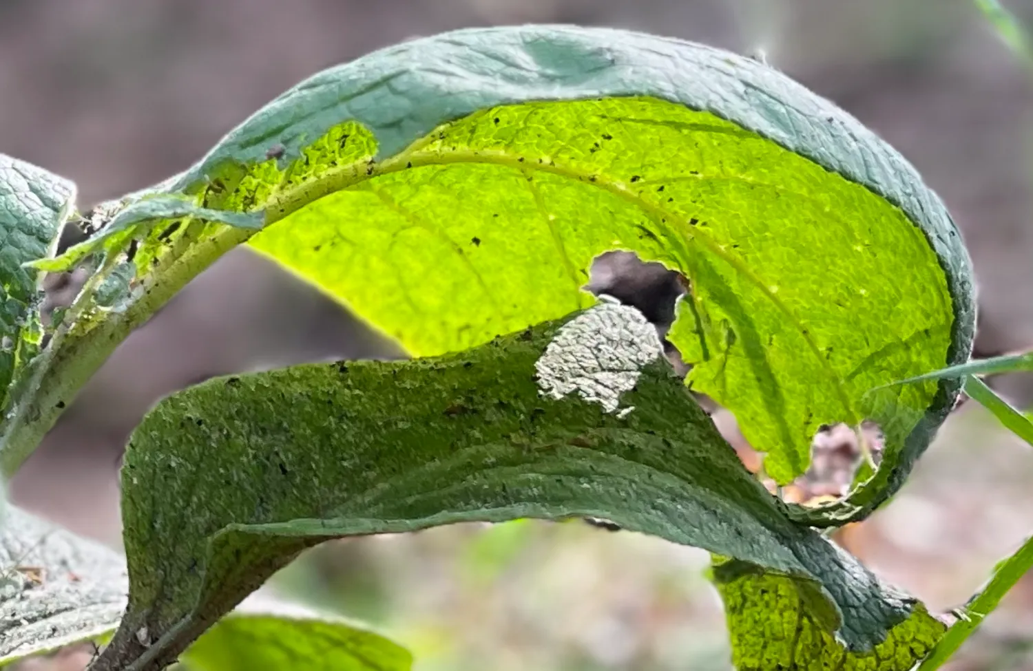 Je handen en voeten hebben een verhaal Tintelende handen, verkrampte voeten. Je lichaam spreekt. Met een ander perspectief kijkend naar je eigen lichaam heb je een extra ingang om Jezelf te ontmoeten en nog beter te leren kennen. Laat je inspireren met deze blog over handen en voeten.