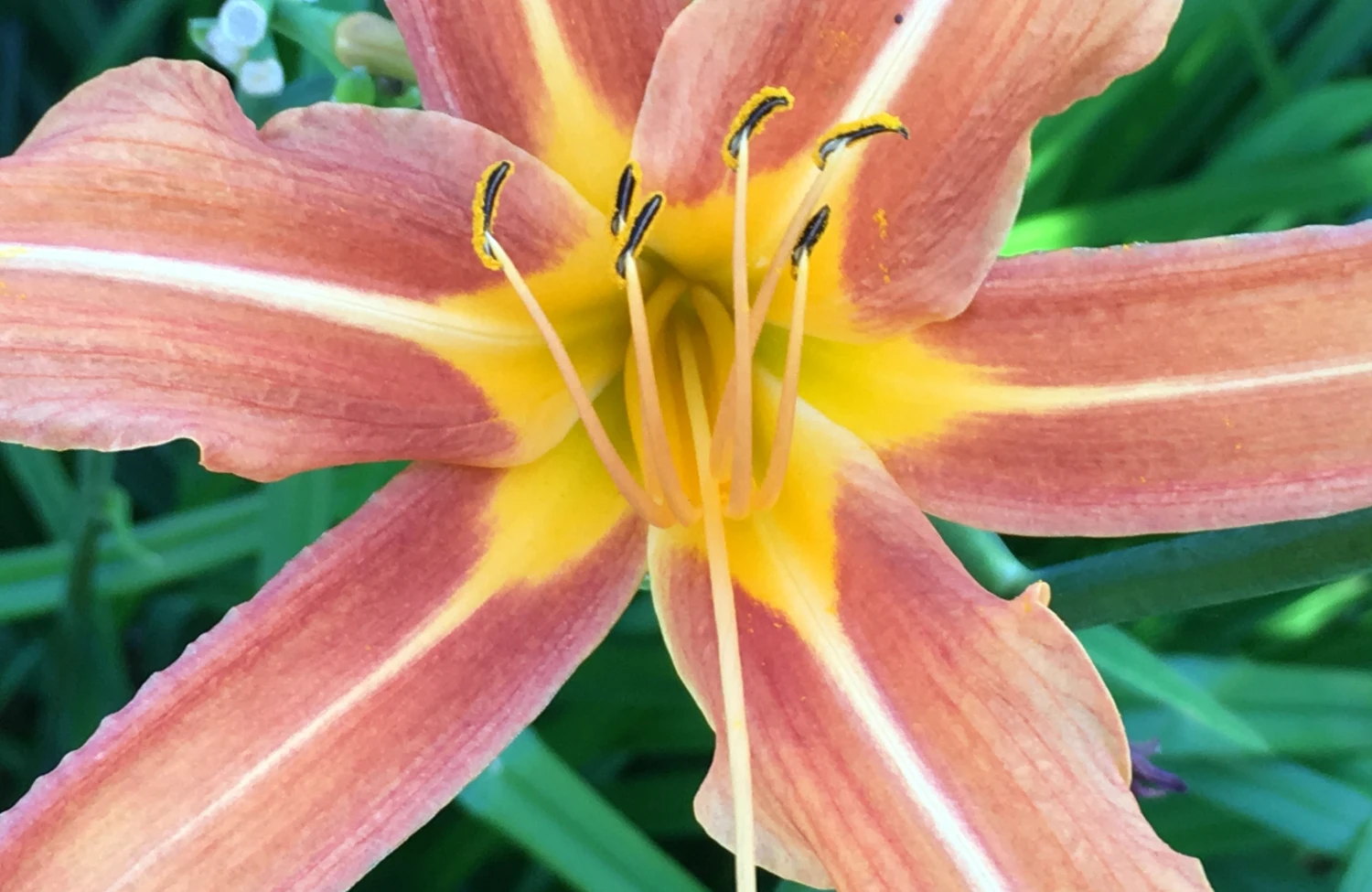 Intimiteit ontvouwt zich in het toelaten van authenticiteit. Van masker naar echtheid in verbinding. Ontmoet de ander door Jezelf te laten zien.