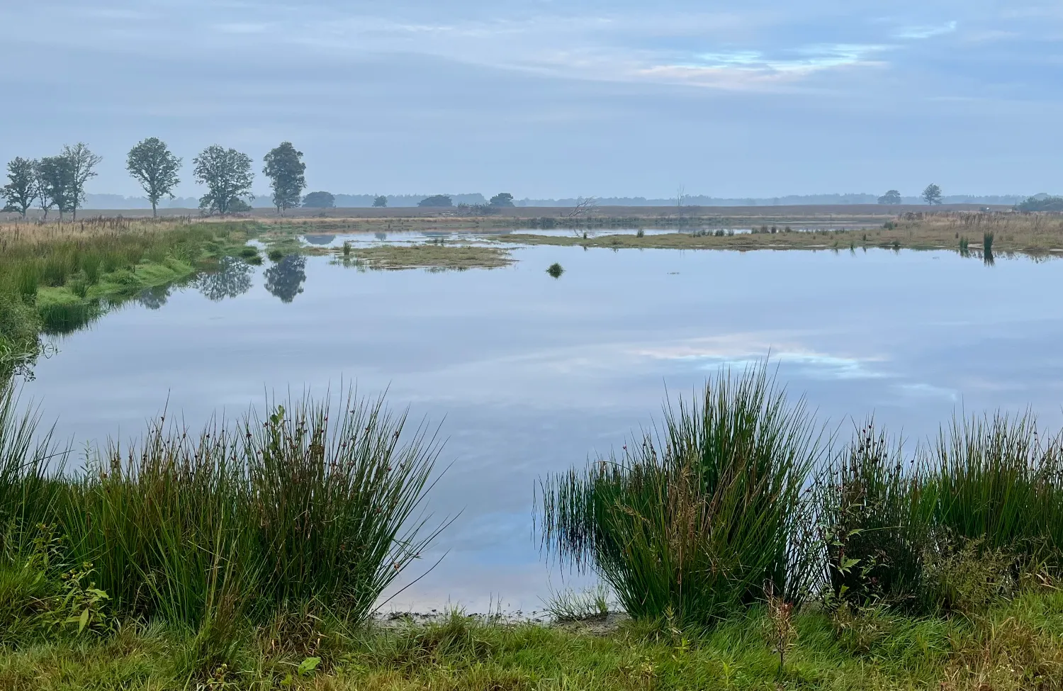 Luisteren is de ruimte zijn, de plek waar iets kan worden gedeeld, iets mag onstaan. Daar begintb het helen
