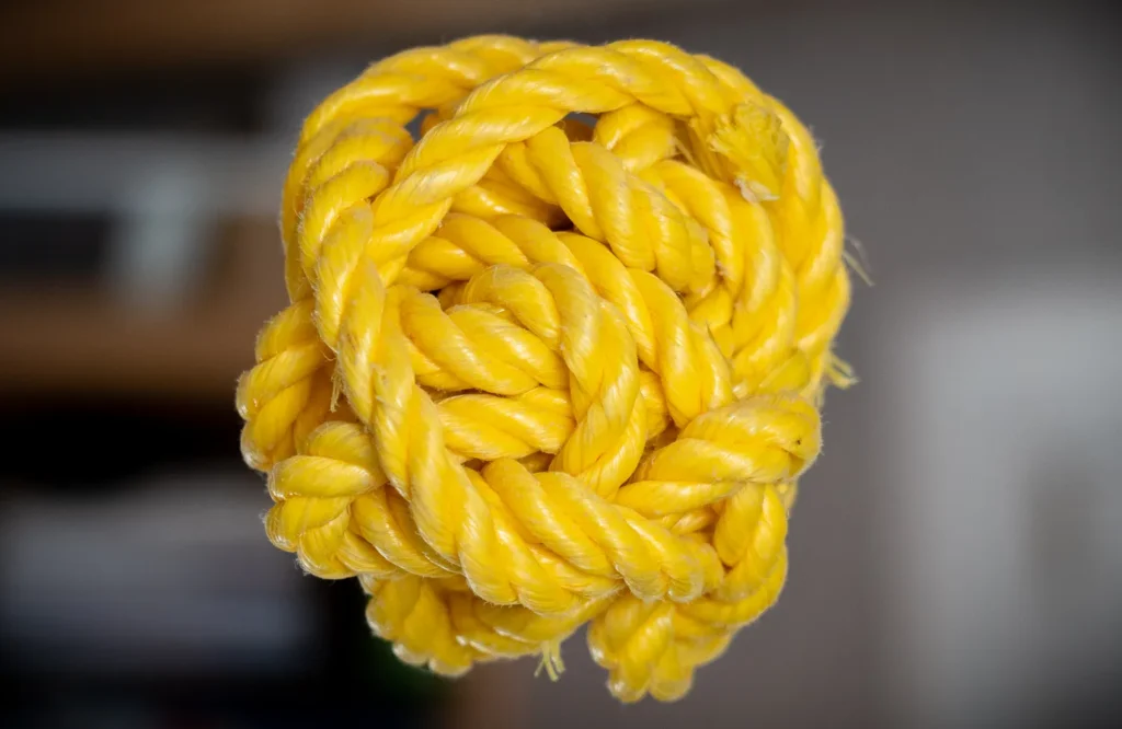 Patronen kun je niet alleen begrijpen, je kunt ze ook losmaken.
Ook uit de Ouder-Kind dynamiek