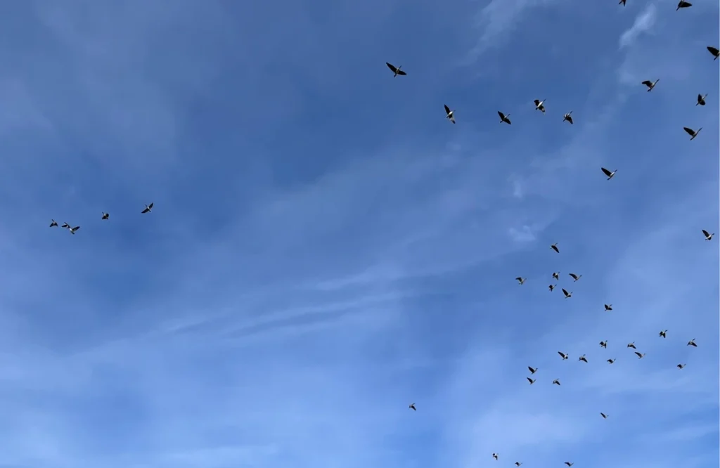 Eenmaal uit de dynamiek en verlost van het elastiek kan het kind weer vrij