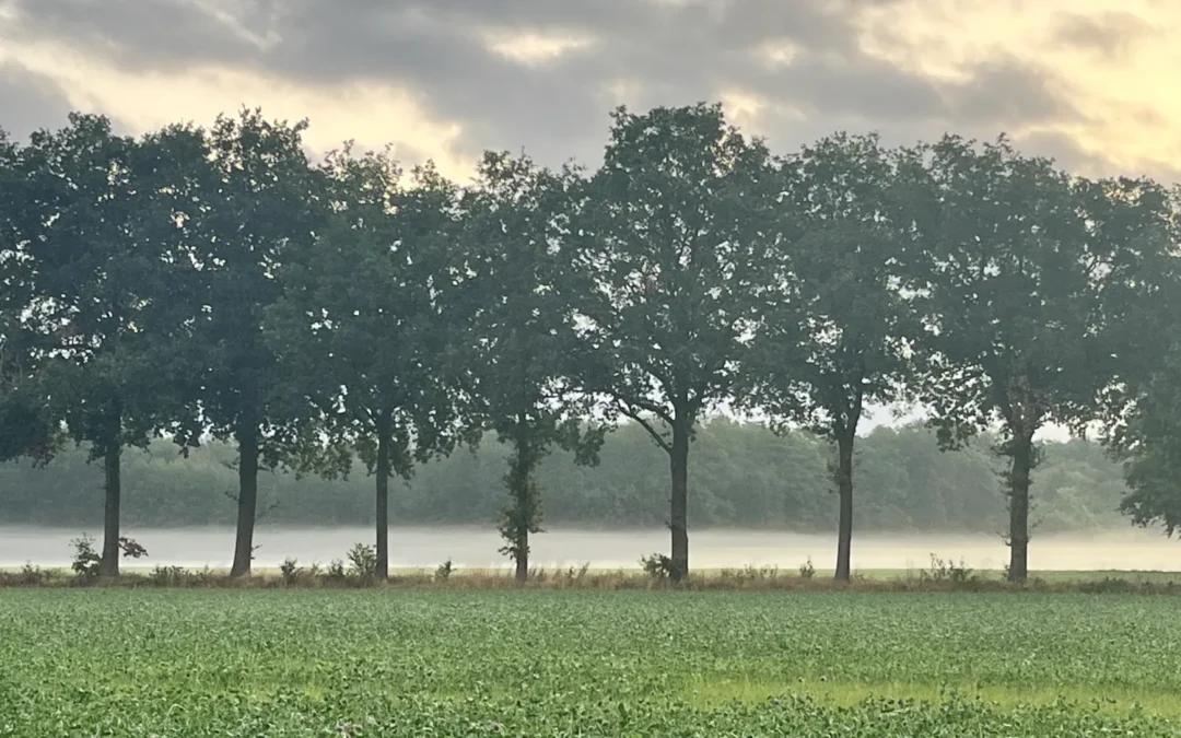 Als alles op orde is, kun je pas gelukkig zijn