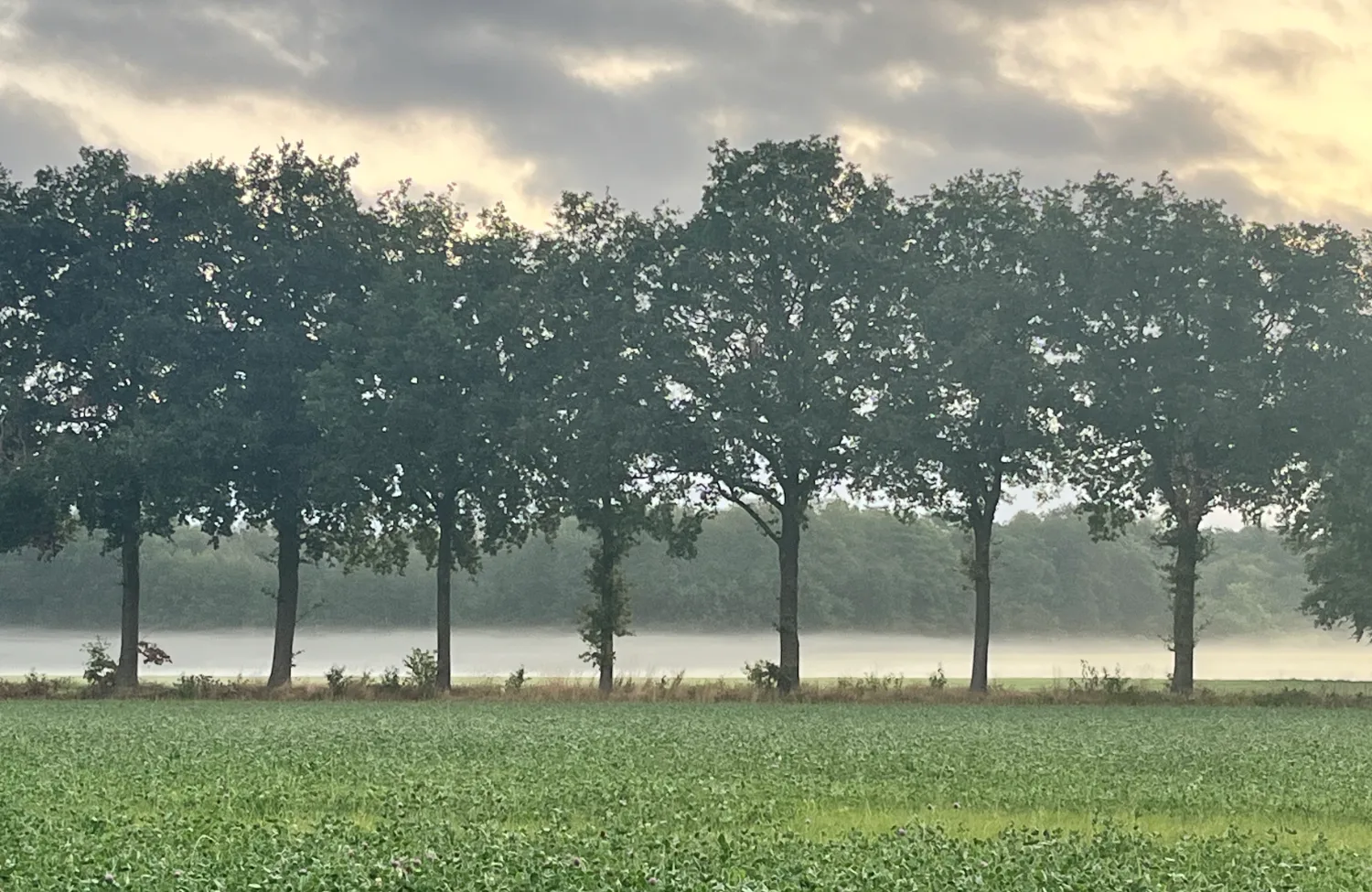 orde-en-ordening-systemisch-perspectief Wat betekent orde en ordening echt? Een persoonlijke blog over systemisch werk, familieopstellingen, verantwoordelijkheid en de doorwerking van verzwegen geschiedenis in families en samenleving.