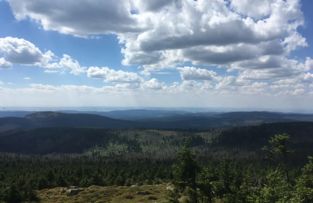 Familiegeheimen en het zwijgen dat doorwerkt. Je voelt dat er iets is. Iets zou kunnen zijn en het lijkt nét buiten handbereik achter de volgende heuvel
