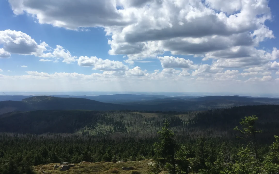 Familiegeheimen en het zwijgen dat doorwerkt