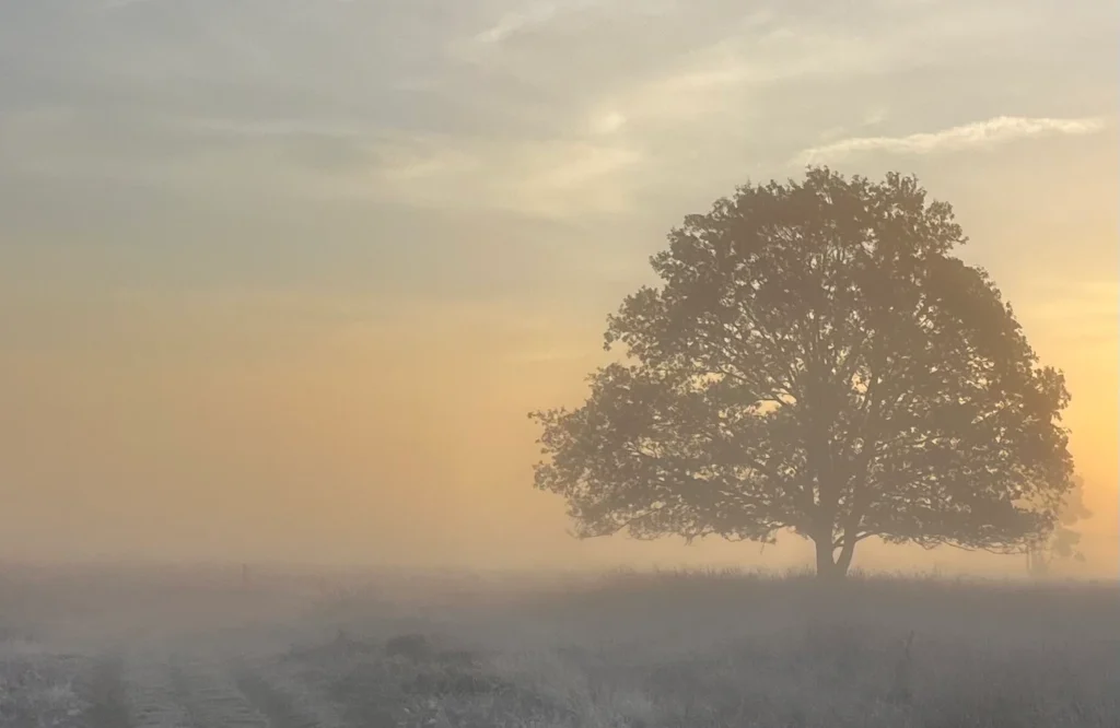 Leer hoe je de grens tussen het bekende en het onbekende overstapt, de mist van onzekerheid doorbreekt en authentieke échte ontmoetingen creëert. Praktische tips voor meer openheid, vertrouwen en persoonlijke groei.