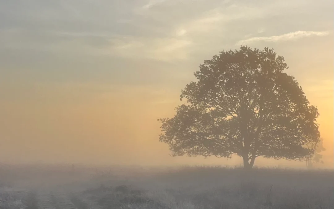 Echte ontmoetingen: de grens tussen bekend en onbekend betreden