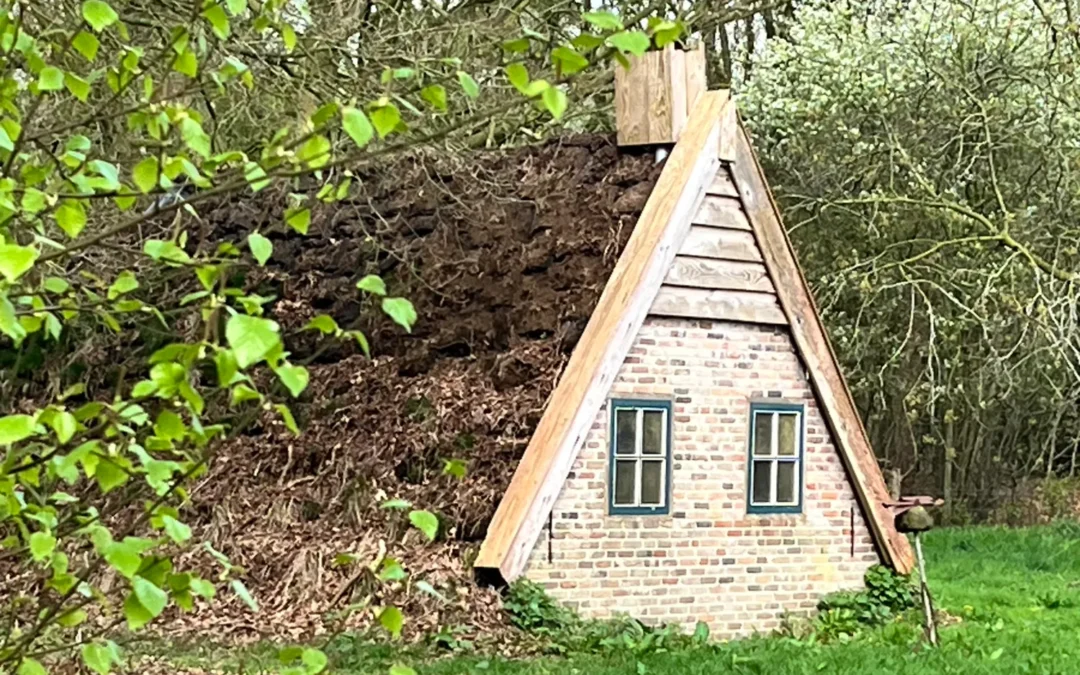 Voorlopers en achterblijvers- waarom verandering zo moeilijk voelt.