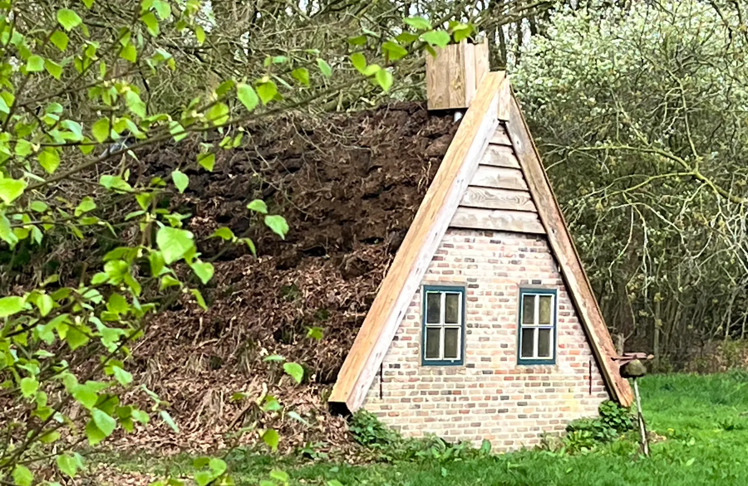 Voorlopers en achterblijvers: waarom verandering zo moeilijk voelt. Ontdek hoe je omgaat met weerstand, angst en begrip in een veranderende wereld.