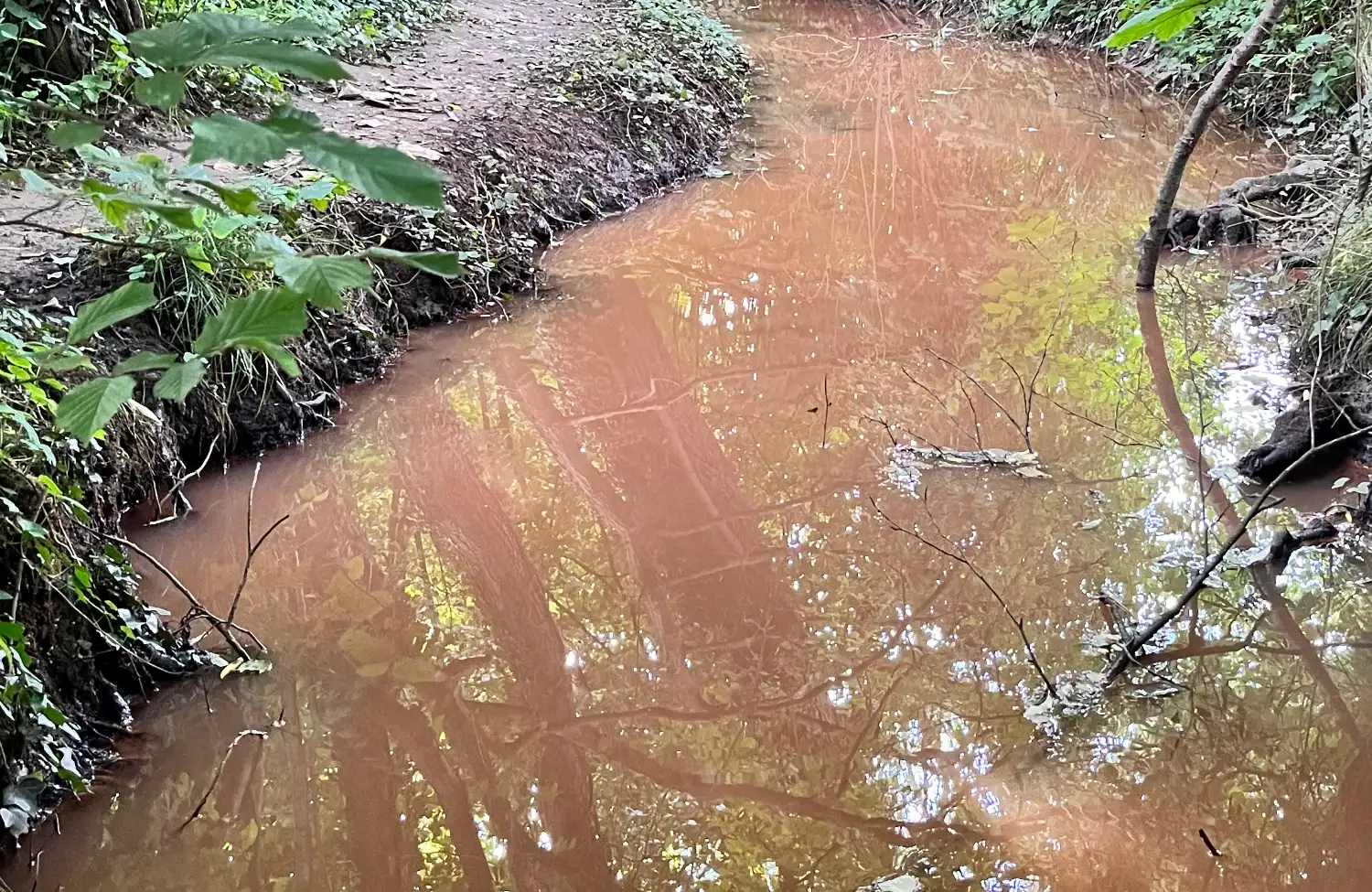 Als man je emoties niet langer onnodig verbergen is meegaan met de stroom. In plaats van ertegen in te gaan