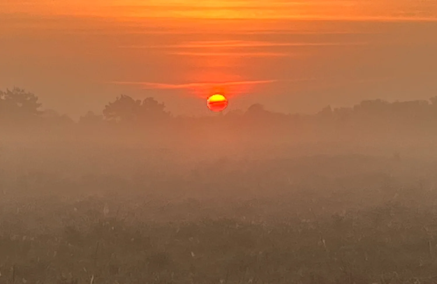 zicht op helderheid zodat emoties uit de schaduw van jou als man mogen komen